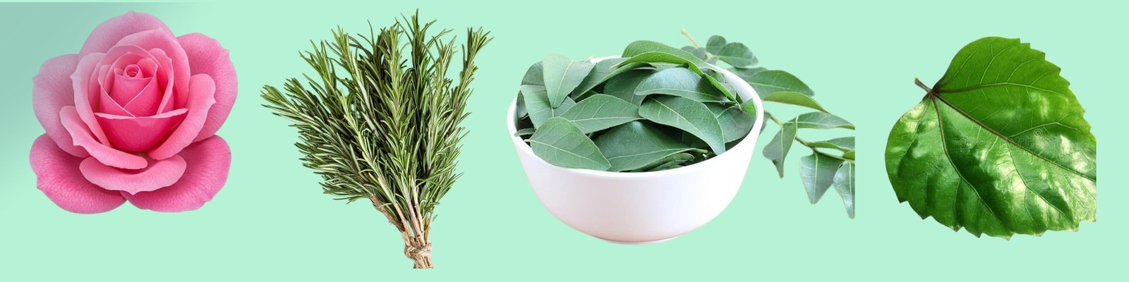 1_20251110_145941_0000