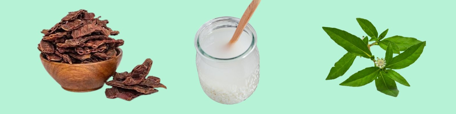 4_20251110_145941_0003